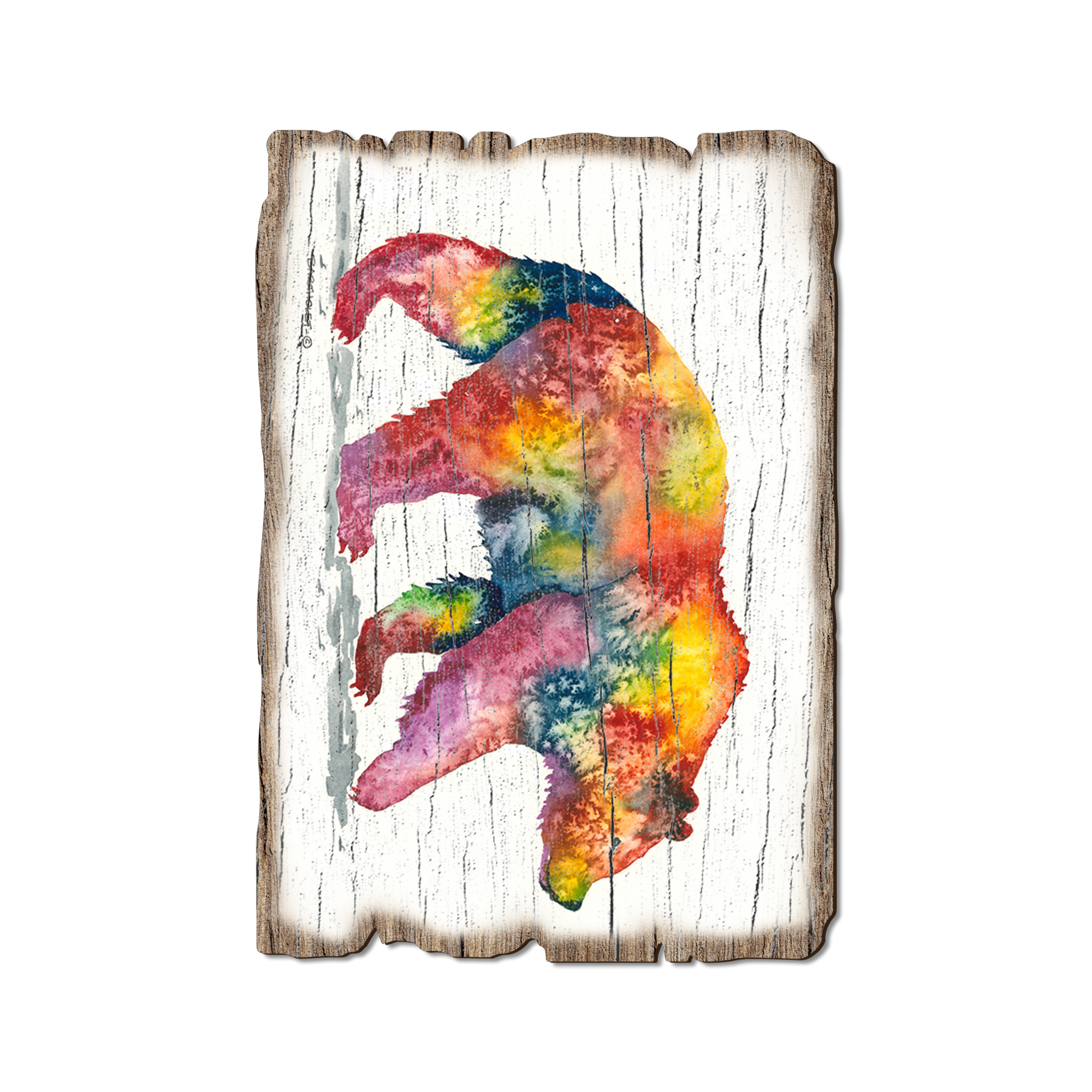 Postcard: Weathered Edge - Bartholet's Rainbow Grizzly (Pack of 5)