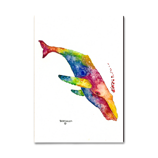 Magnet: Classic Edge - Bartholet's Rainbow Humpback