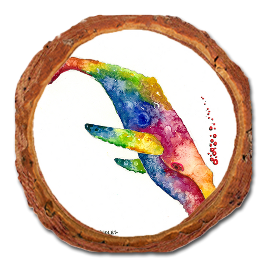 Coaster: Live Edge - Bartholet's Rainbow Humpback (Pack of 5)