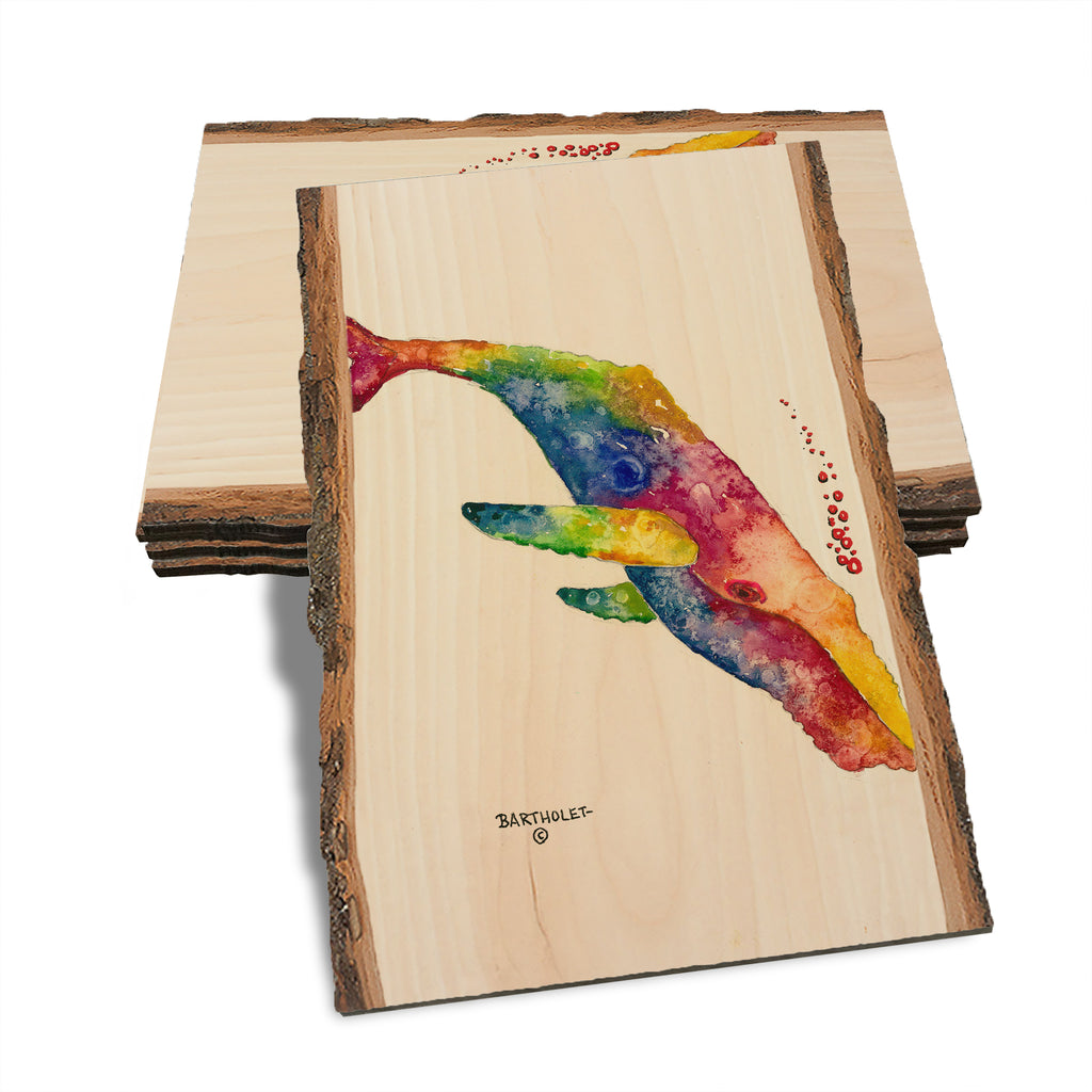Bartholet's Rainbow Humpback - Live Edge Live Edge Postcard (5pk // $2.80ea)