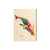 Bartholet's Rainbow Humpback - Magnet Classic Edge Magnet (5pk // $2.80ea)