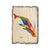 Bartholet's Rainbow Humpback - Weathered Edge Magnet Weathered Edge Postcard (5pk // $2.80ea)