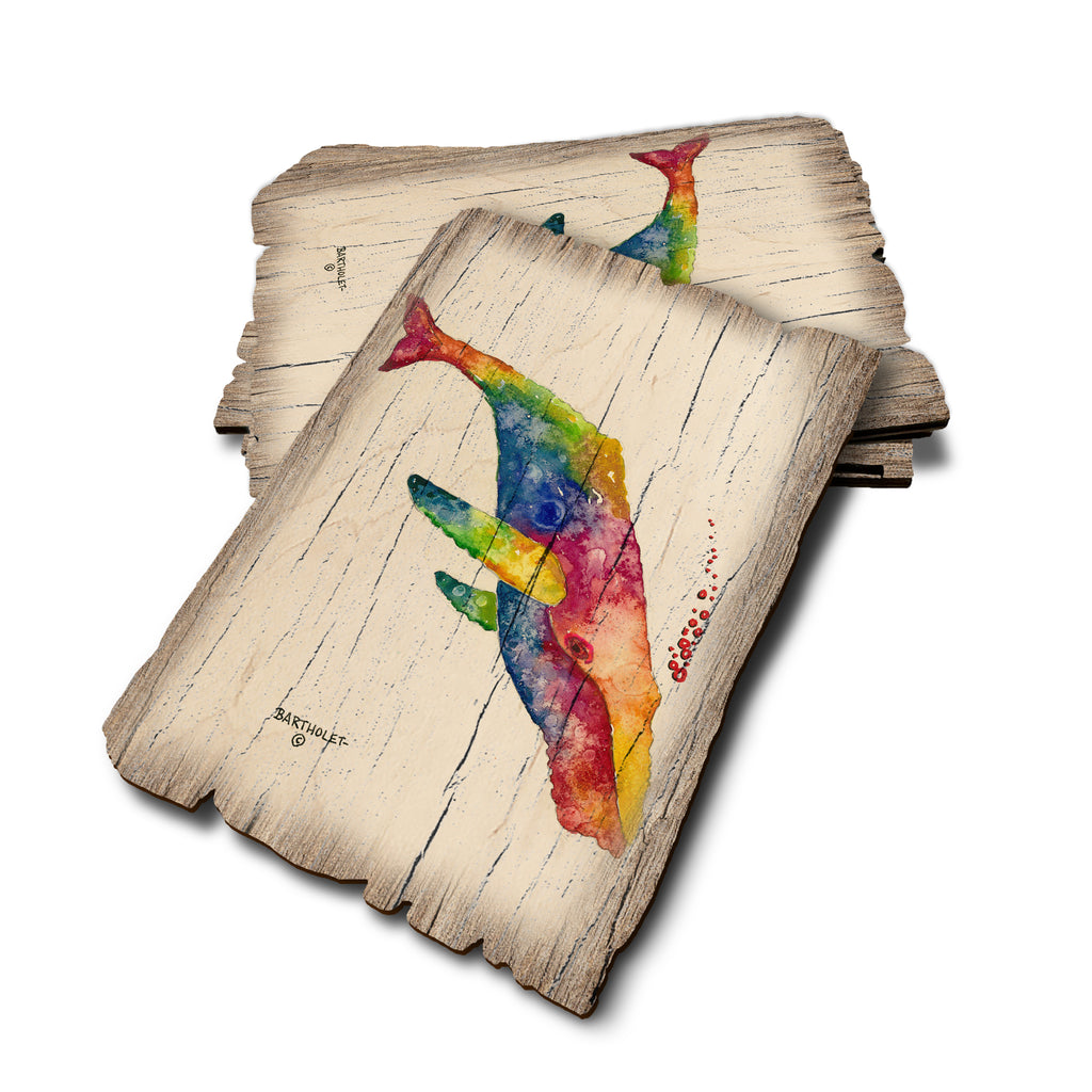 Bartholet's Rainbow Humpback - Weathered Edge Weathered Edge Postcard (5pk // $2.80ea)