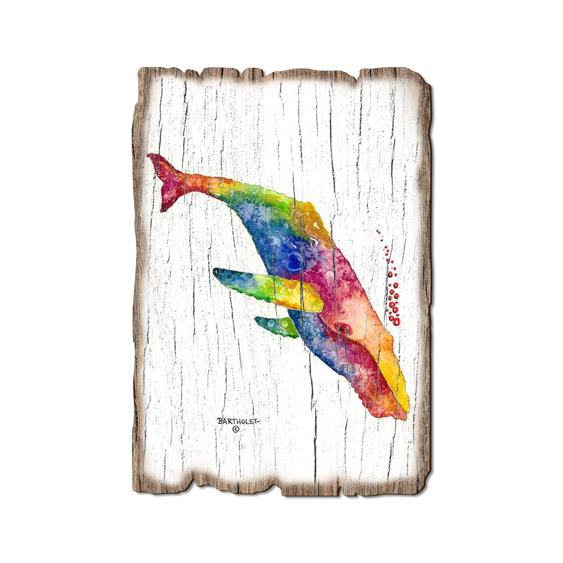 Greeting Card: Weathered Edge - Bartholet's Rainbow Humpback (Pack of 5)