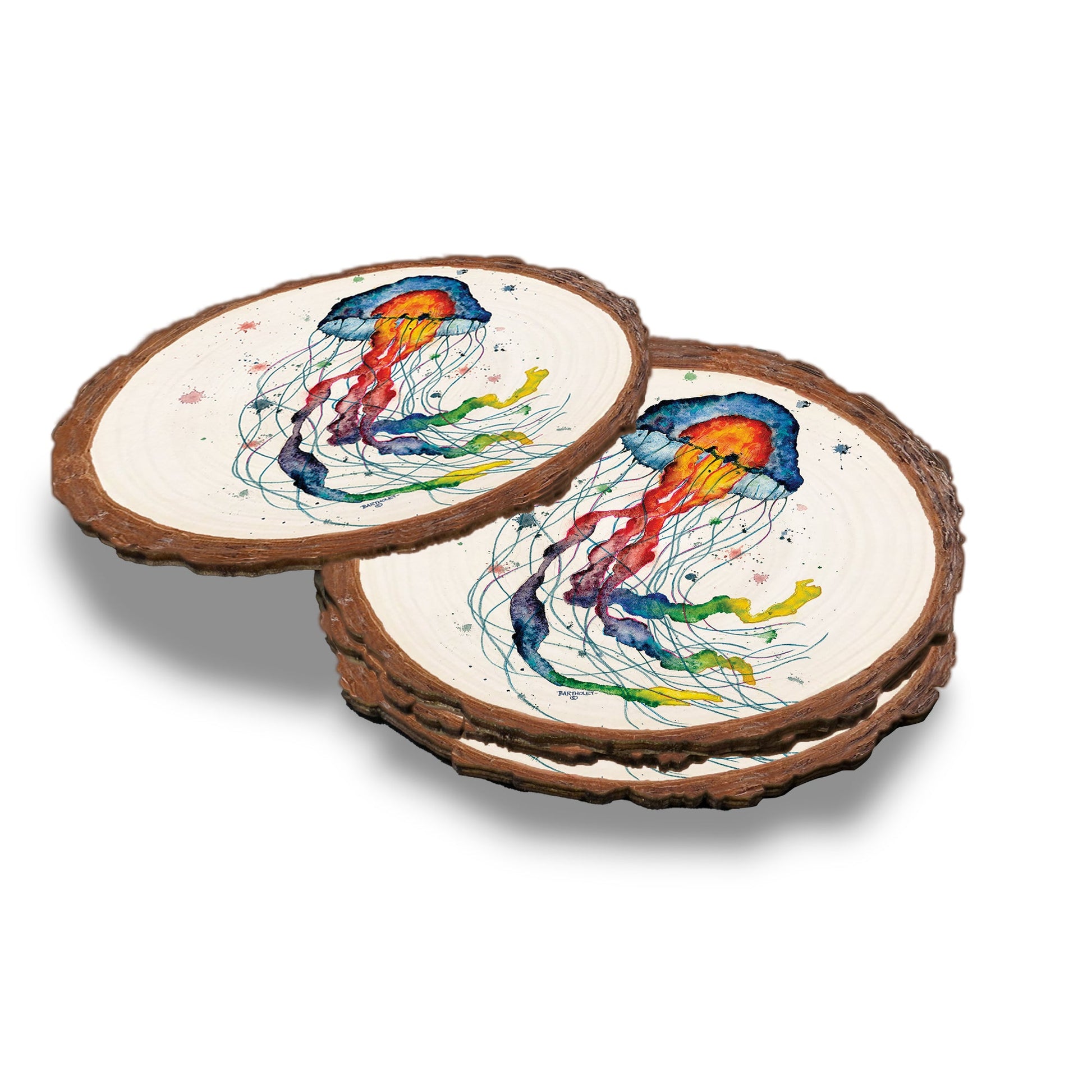 Bartholet's Rainbow Jellyfish  - Live Edge Live Edge Coaster (5pk // $2.80ea)