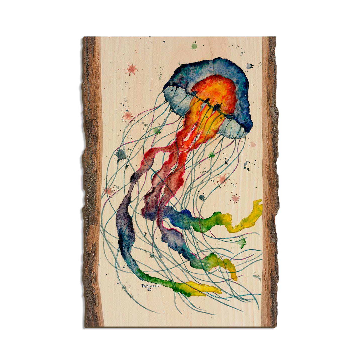 Bartholet's Rainbow Jellyfish  - Live Edge Live Edge Postcard (5pk // $2.80ea)