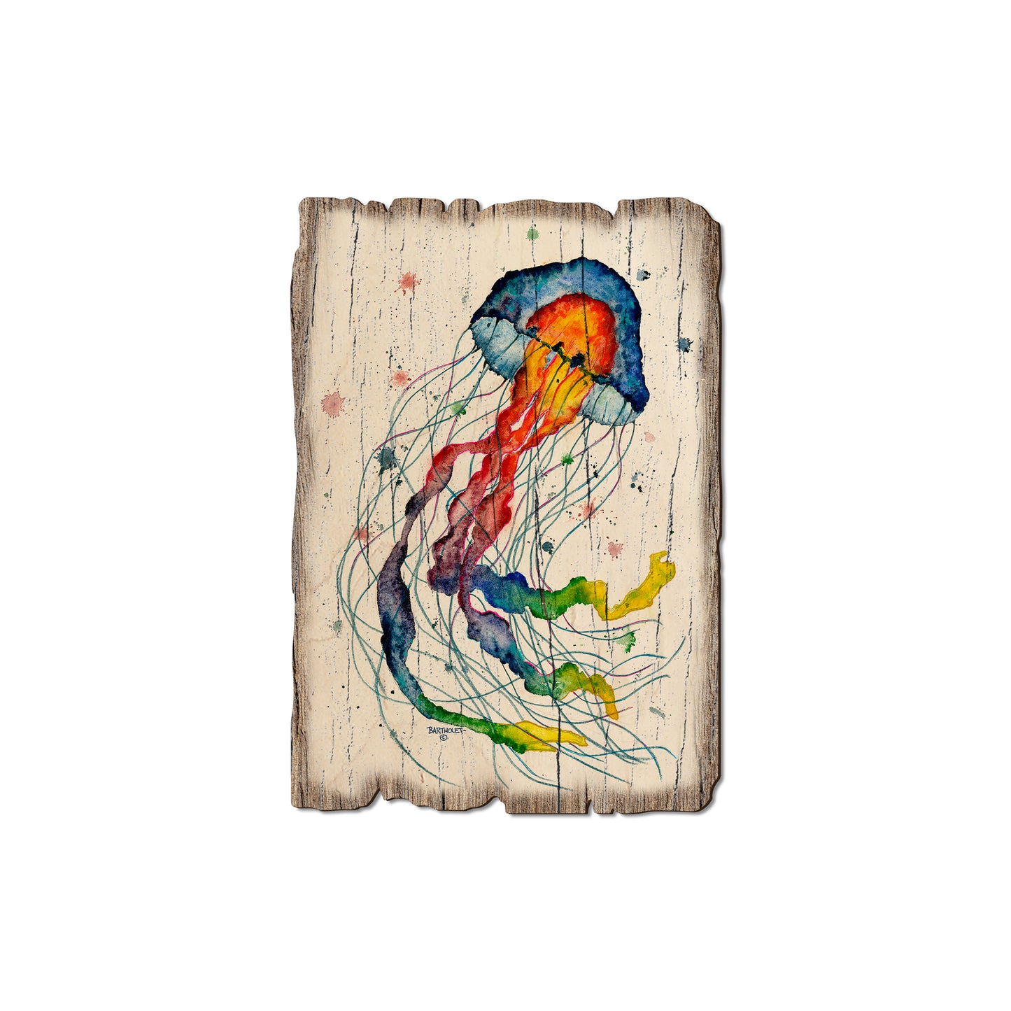 Bartholet's Rainbow Jellyfish - Rustic Edge Postcards & Magnets Rustic Edge Magnet (5pk // $2.80ea)