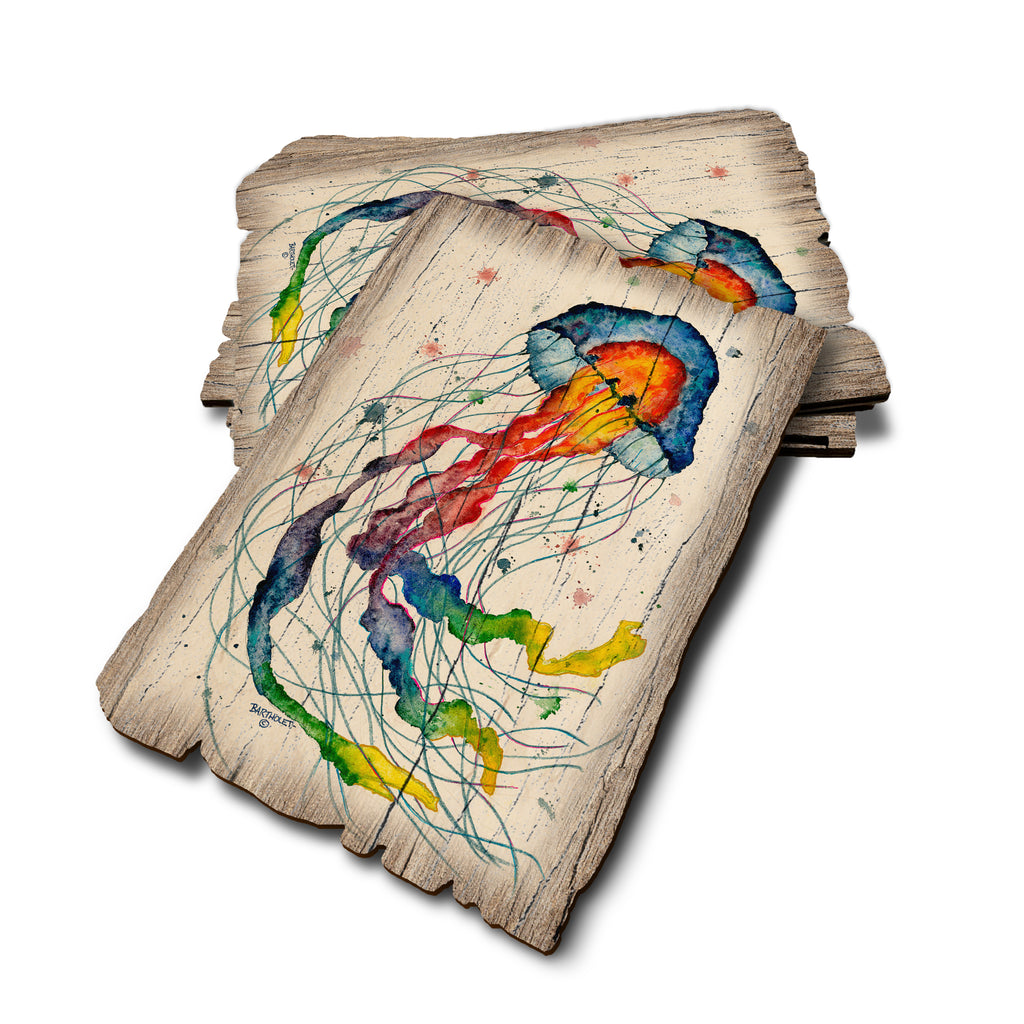 Bartholet's Rainbow Jellyfish - Weathered Edge Rustic Edge Postcard (5pk // $2.80ea)