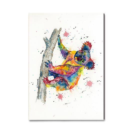 Greeting Card: Classic Edge - Bartholet's Rainbow Koala