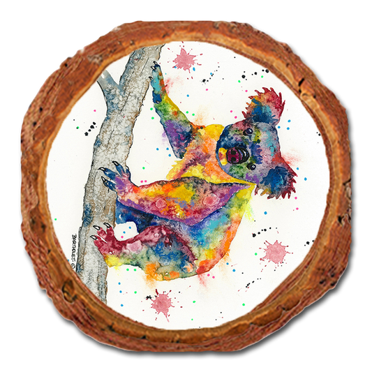 Coaster: Live Edge - Bartholet's Rainbow Koala