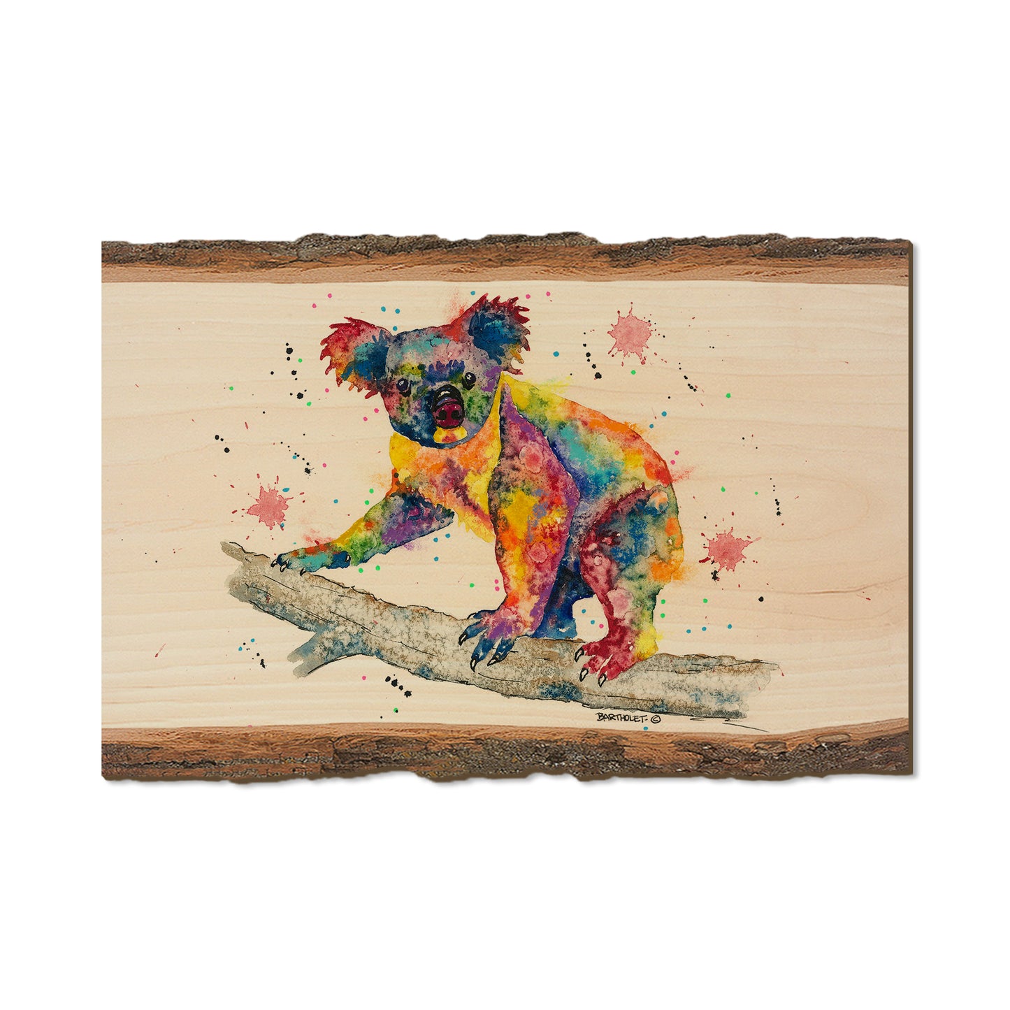 Bartholet's Rainbow Koala  - Live Edge Live Edge Postcard (5pk // $2.80ea)