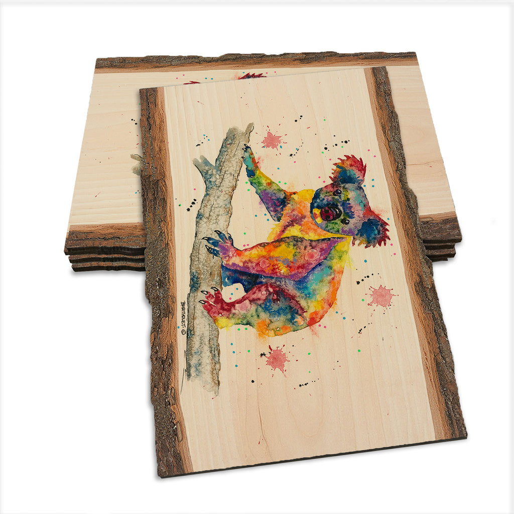 Bartholet's Rainbow Koala  - Live Edge Live Edge Postcard (5pk // $2.80ea)