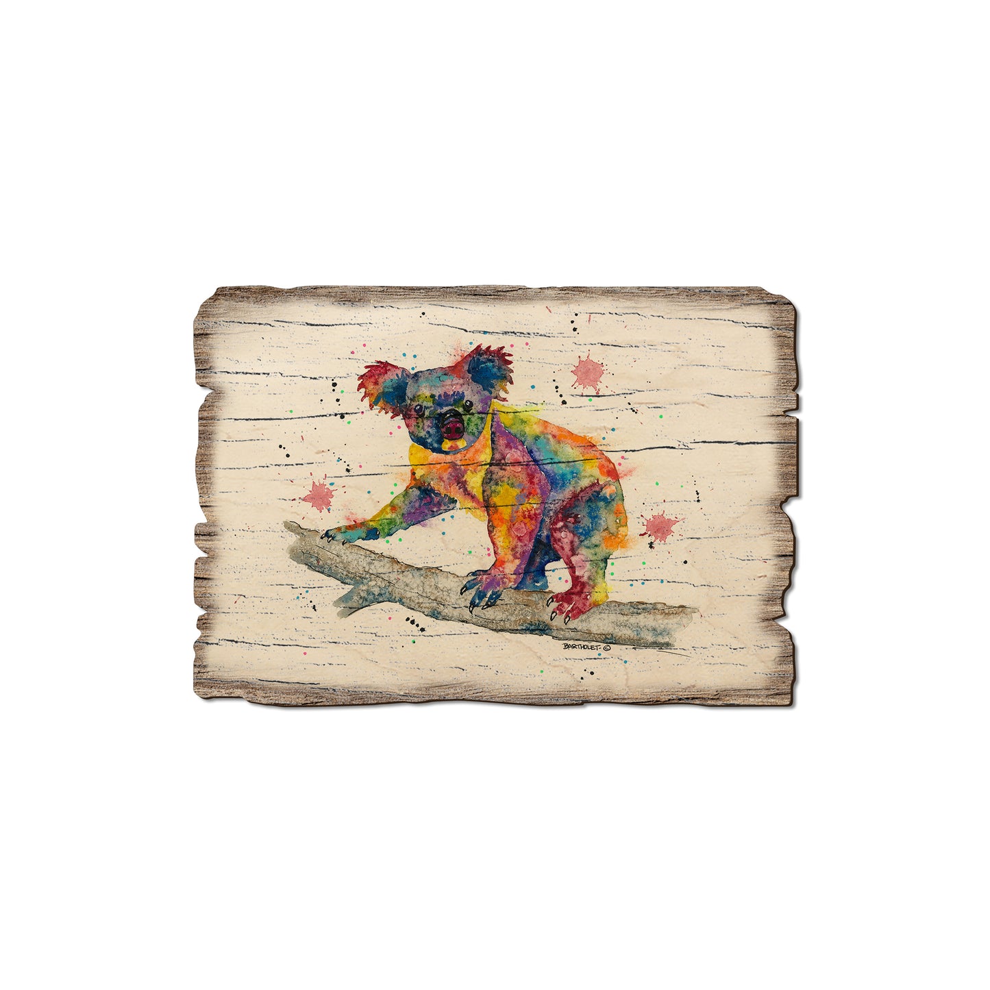 Bartholet's Rainbow Koala - Rustic Edge Postcards & Magnets Rustic Edge Magnet (5pk // $2.80ea)