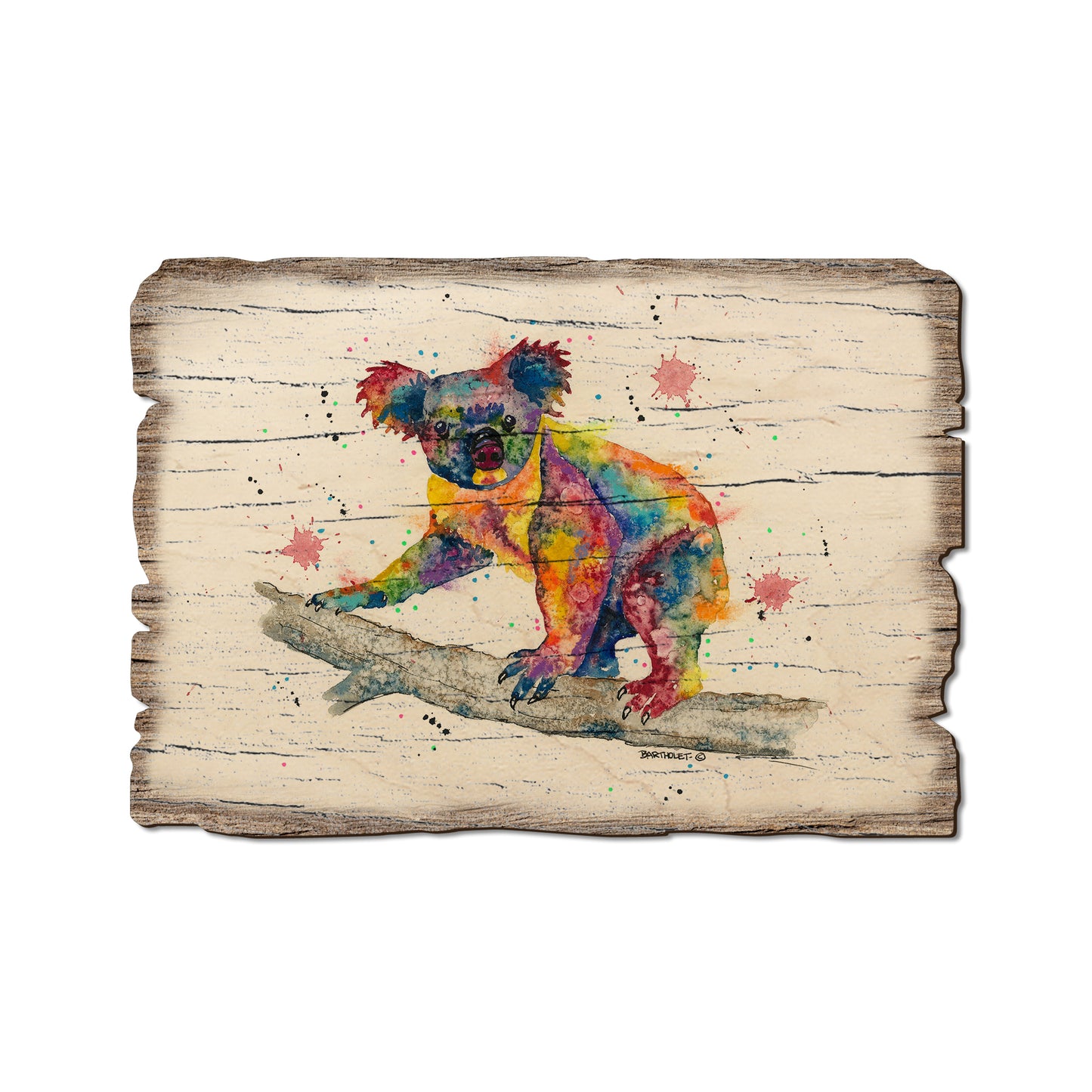 Bartholet's Rainbow Koala - Rustic Edge Postcards & Magnets Rustic Edge Postcard (5pk // $2.80ea)