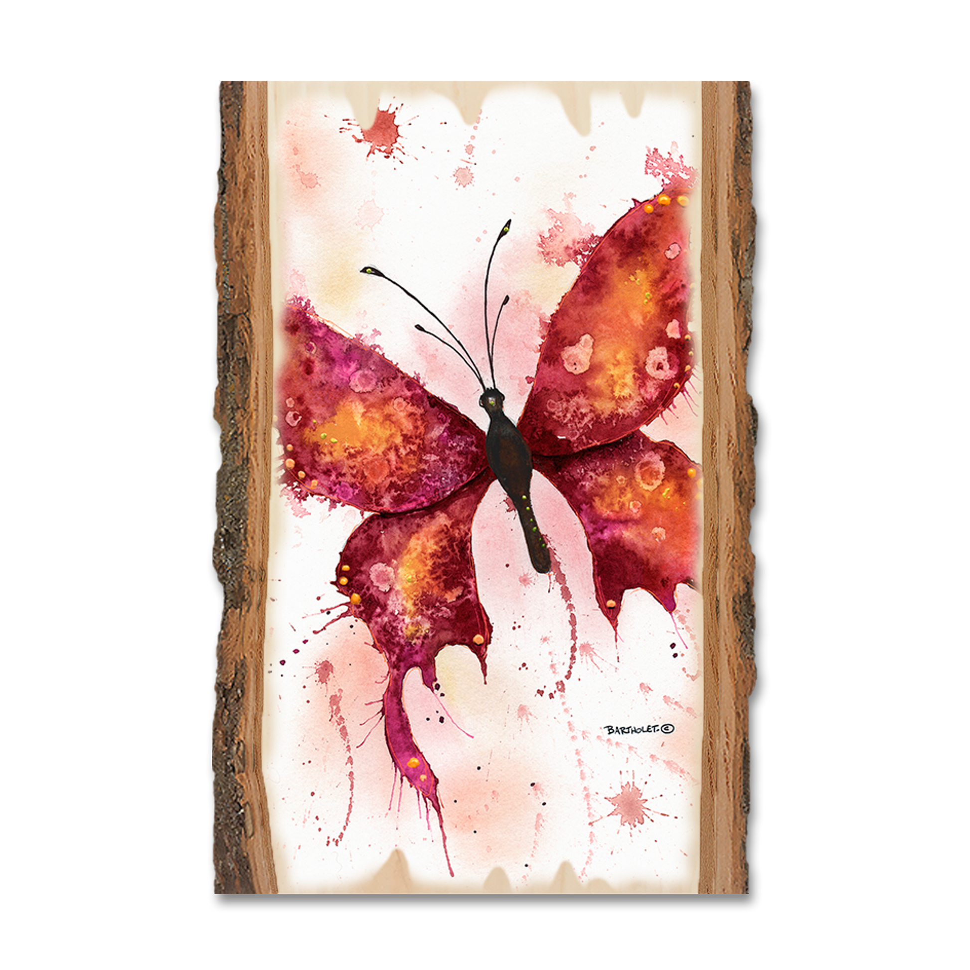 Greeting Card: Live Edge - Bartholet's Rainbow Lady in Red