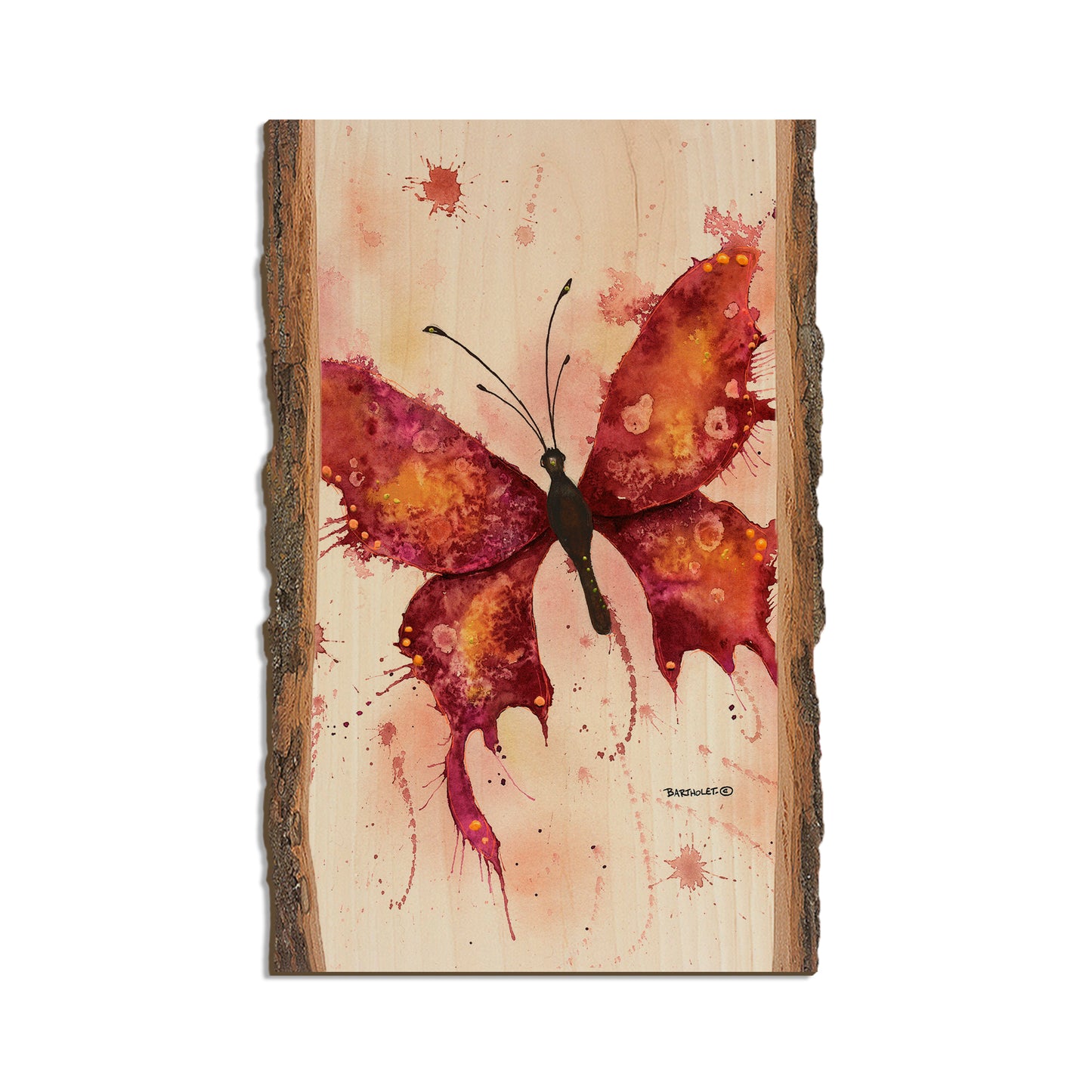 Bartholet's Rainbow Lady in Red  - Live Edge Live Edge Magnet (5pk // $2.80ea)