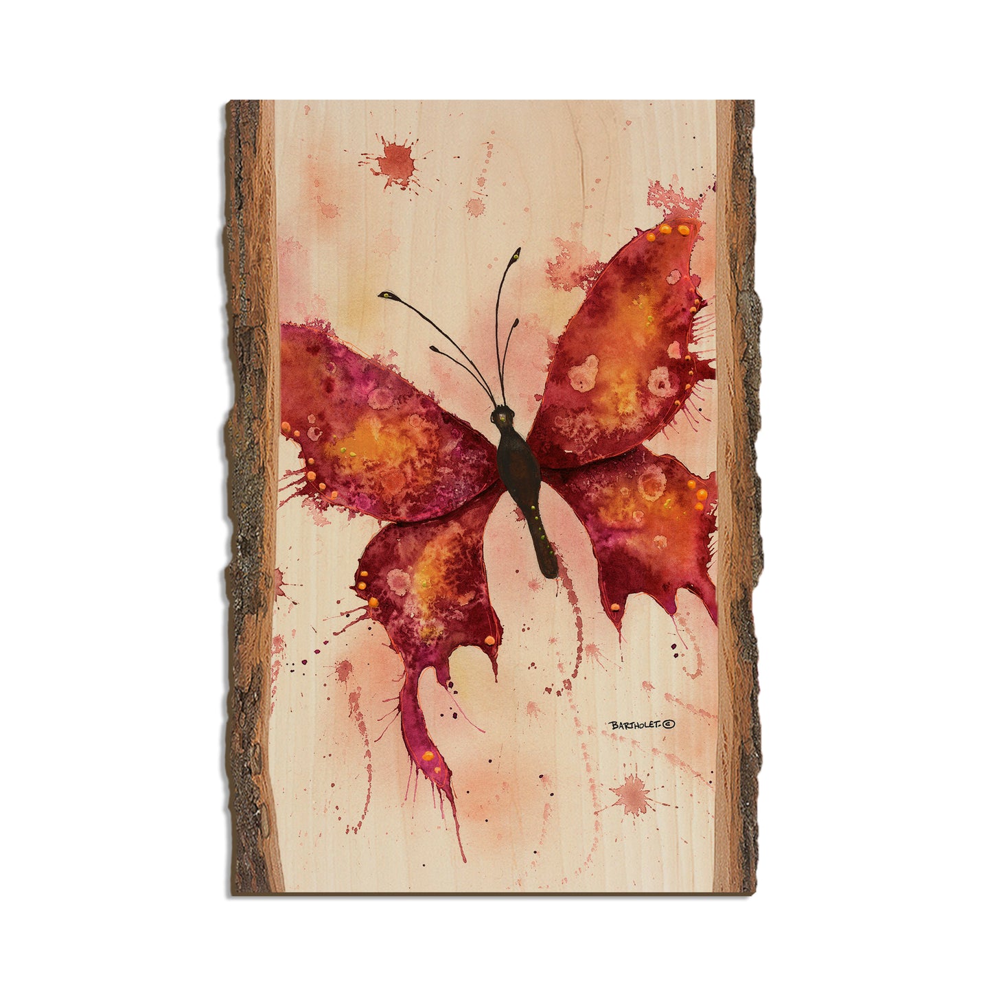 Bartholet's Rainbow Lady in Red  - Live Edge Live Edge Postcard (5pk // $2.80ea)