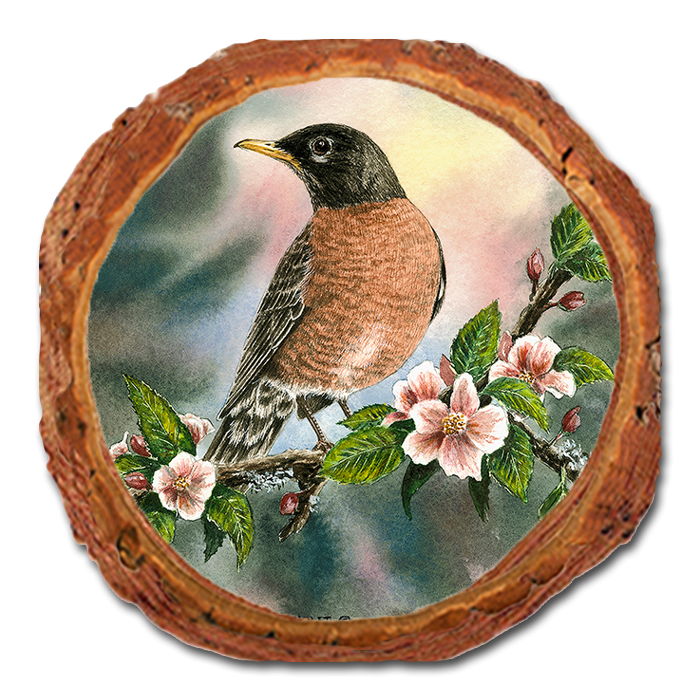 Coaster: Live Edge - Bartholet's Robin (Pack of 5)