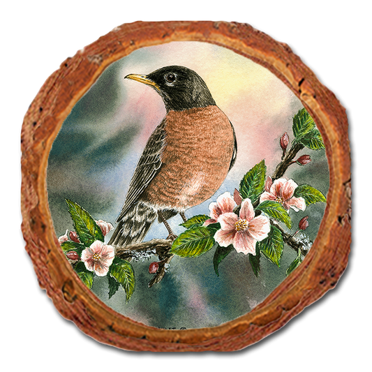 Coaster: Live Edge - Bartholet's Robin (Pack of 5)