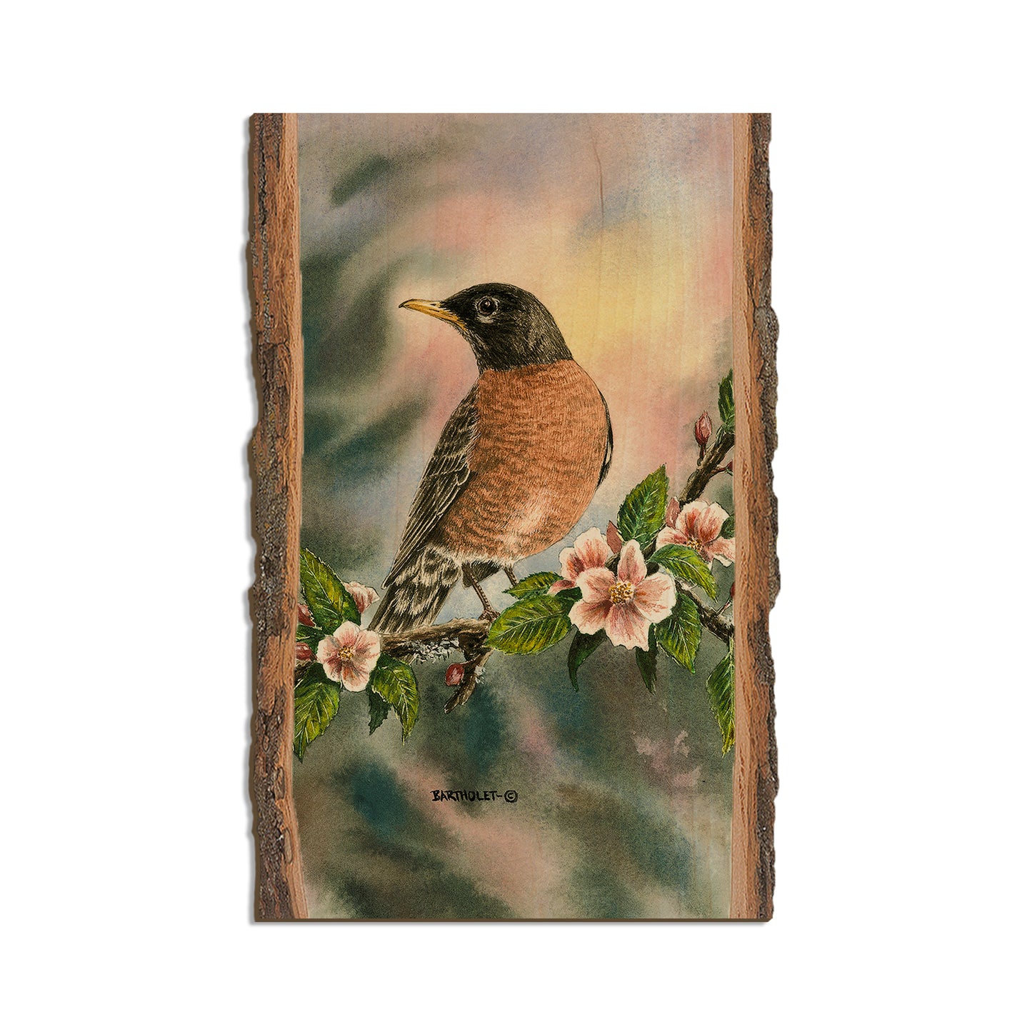 Bartholet's Robin  - Live Edge Live Edge Magnet (5pk // $2.80ea)