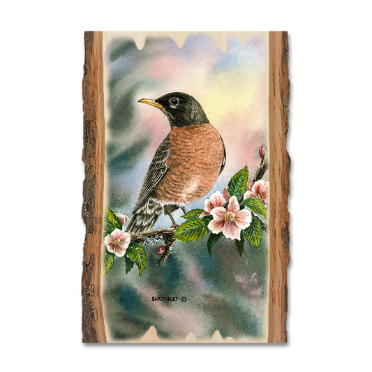 Magnet: Live Edge - Bartholet's Robin