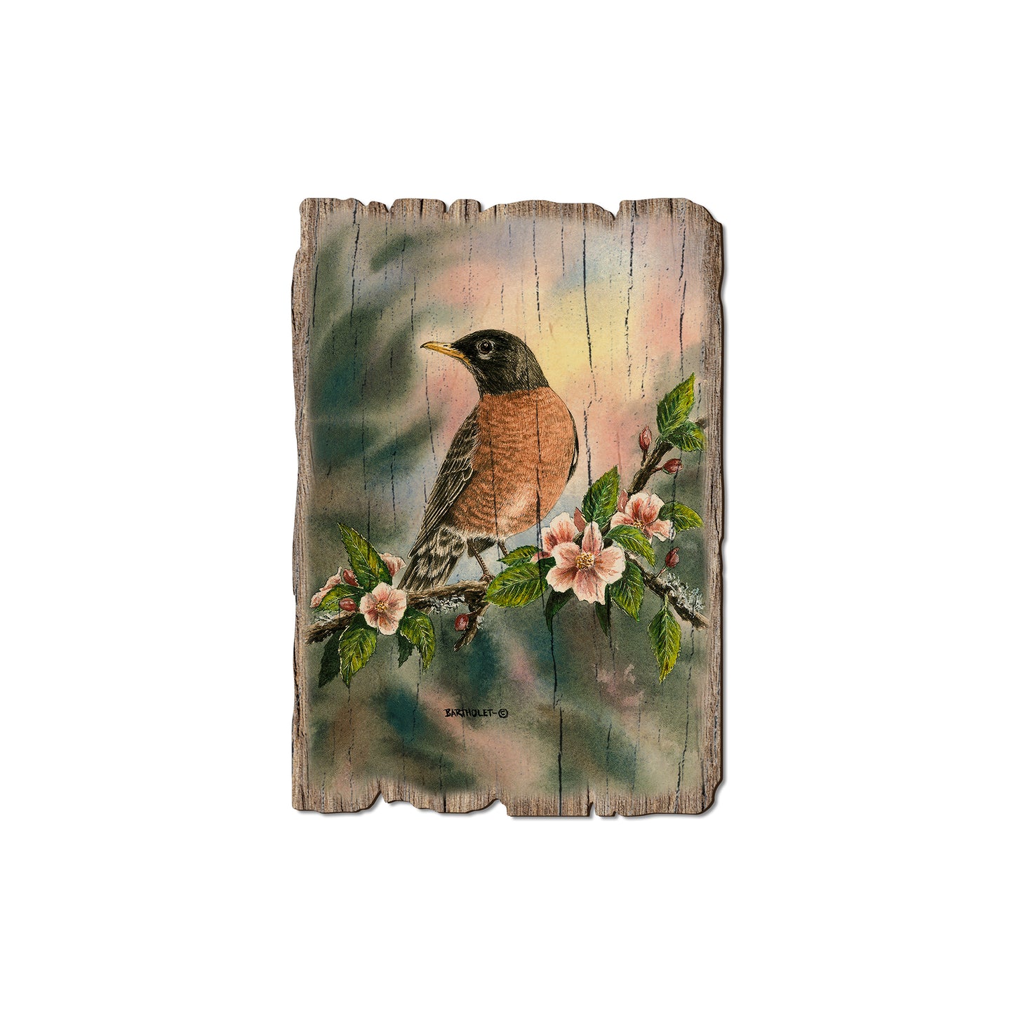Bartholet's Robin - Rustic Edge Postcards & Magnets Rustic Edge Magnet (5pk // $2.80ea)