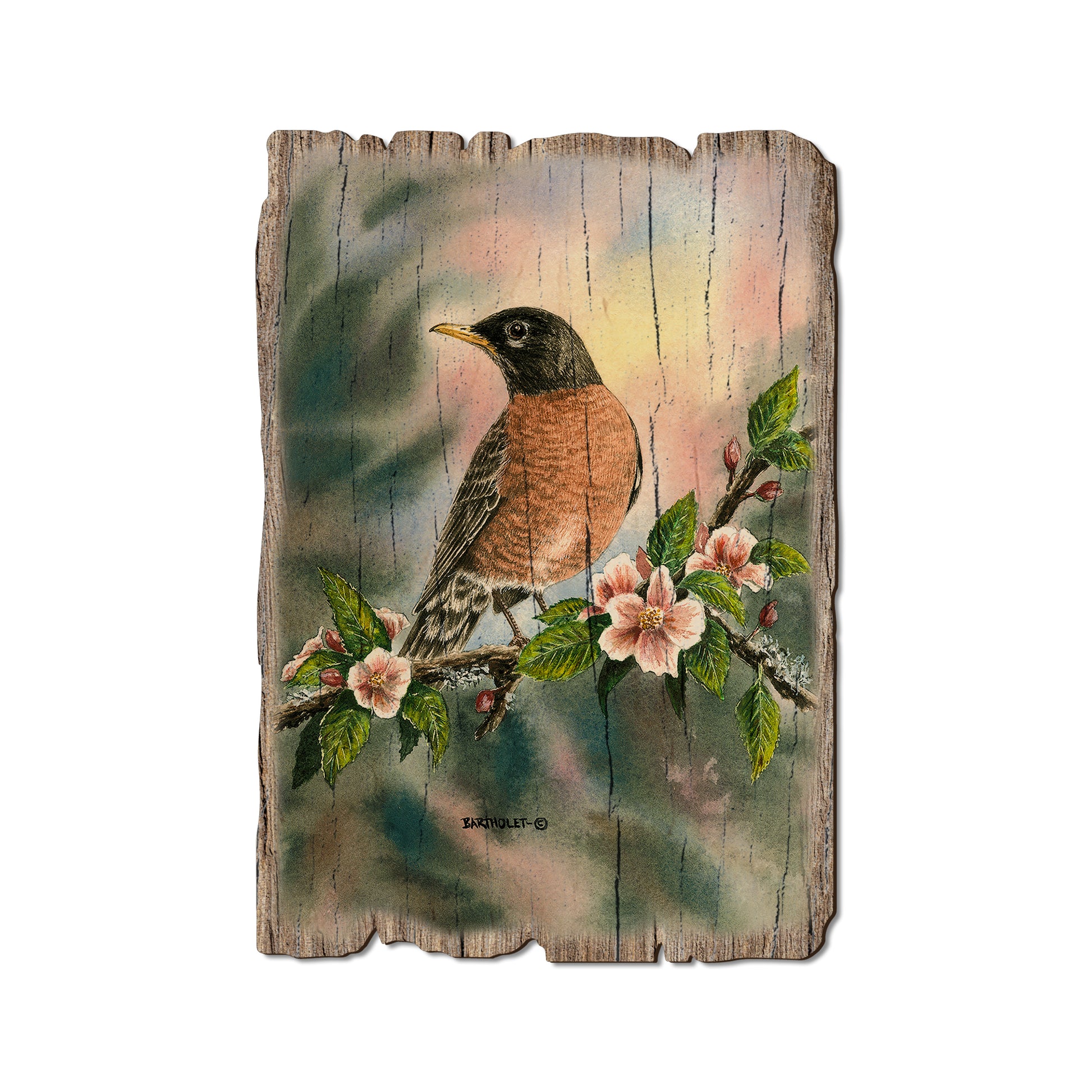 Bartholet's Robin - Rustic Edge Postcards & Magnets Rustic Edge Postcard (5pk // $2.80ea)