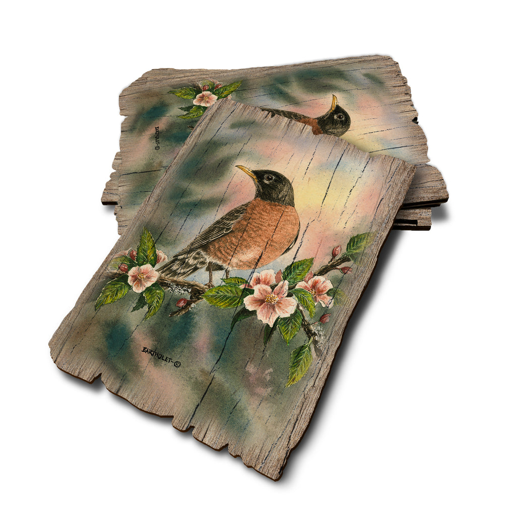 Bartholet's Robin - Weathered Edge Rustic Edge Postcard (5pk // $2.80ea)