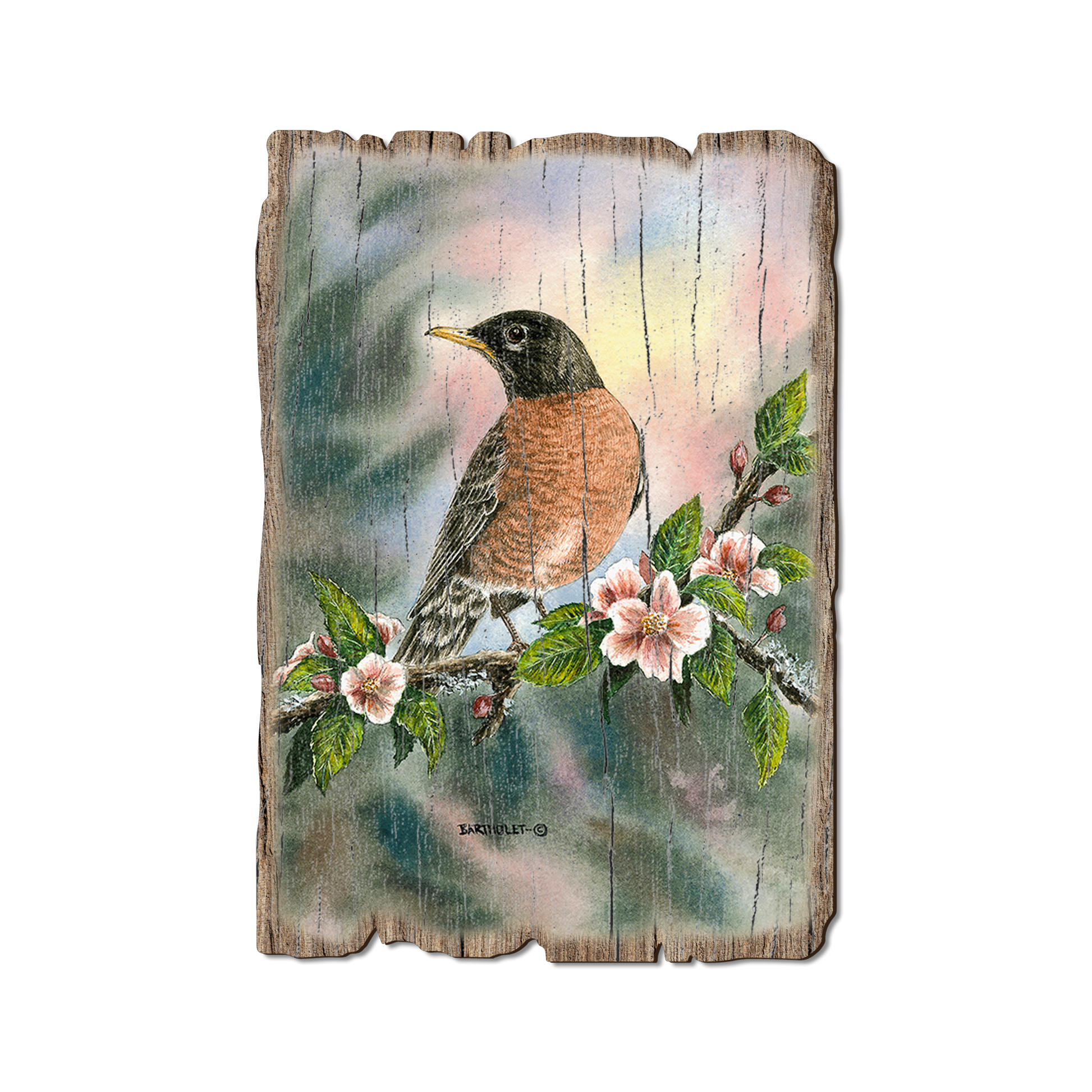 Greeting Card: Weathered Edge - Bartholet's Robin