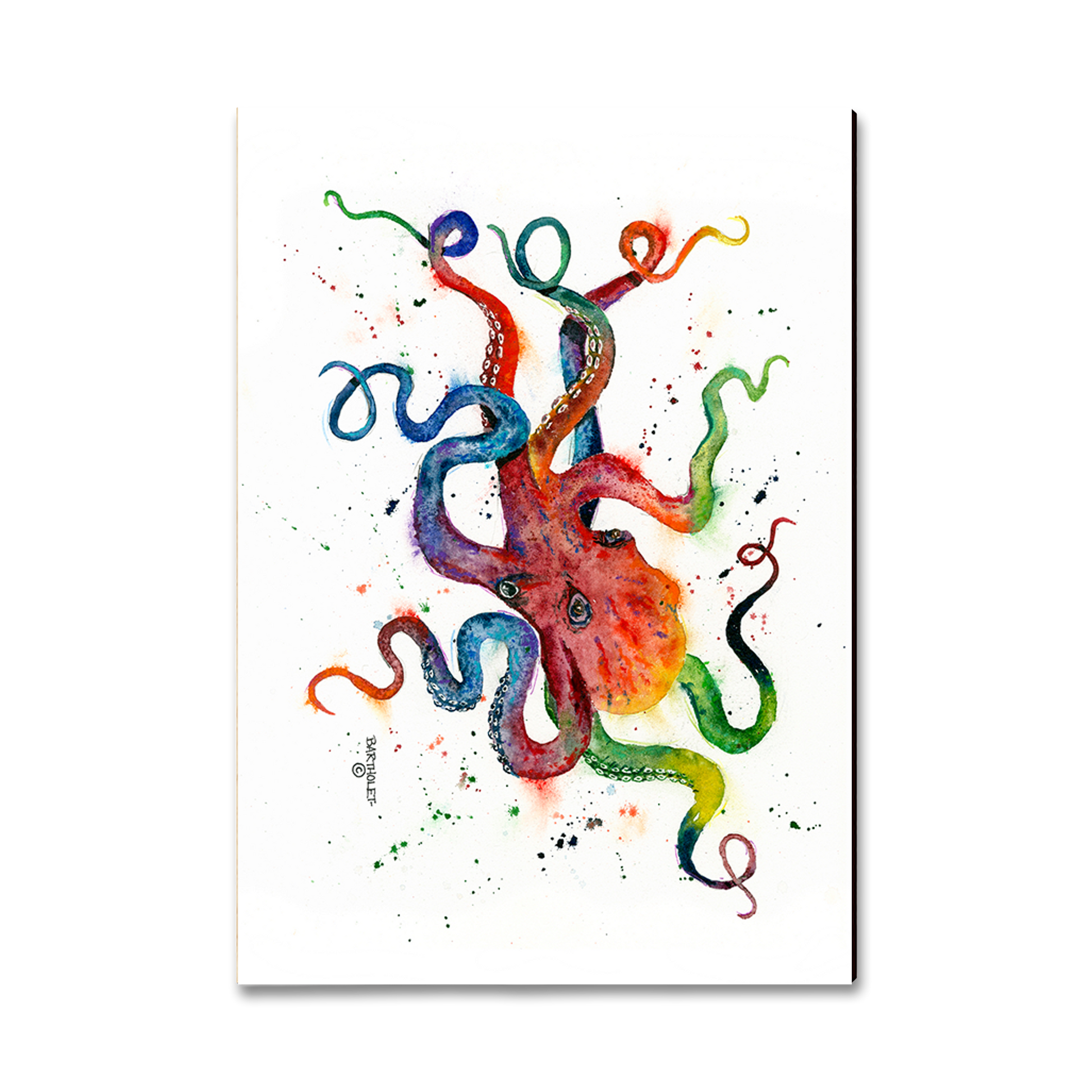 Greeting Card: Classic Edge - Bartholet's Rainbow Octopus