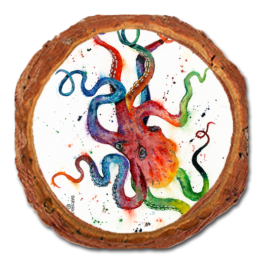 Coaster: Live Edge - Bartholet's Rainbow Octopus (Pack of 5)