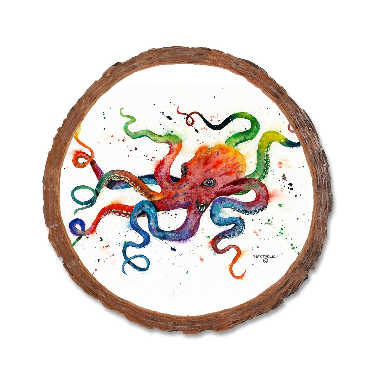 Bartholet's Rainbow Octopus  - Live Edge Live Edge Coaster (5pk // $2.80ea)