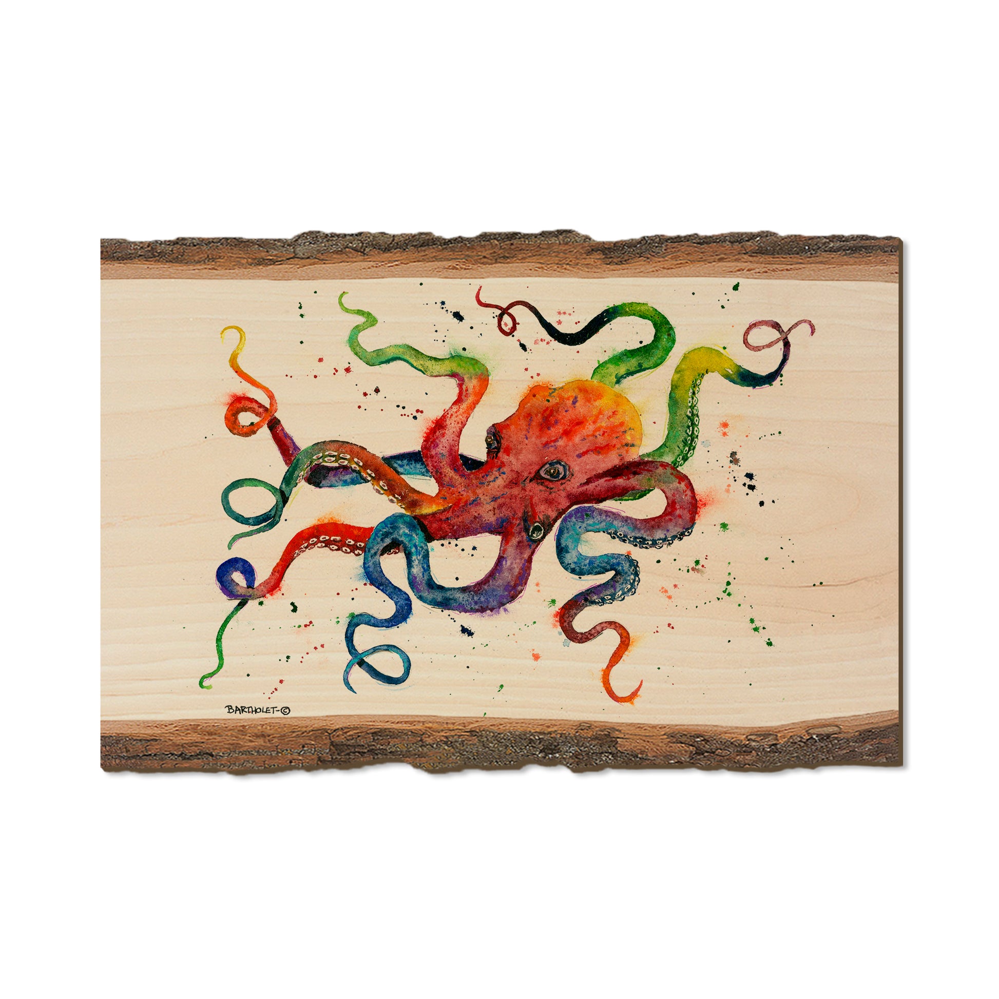 Bartholet's Rainbow Octopus  - Live Edge Live Edge Postcard (5pk // $2.80ea)