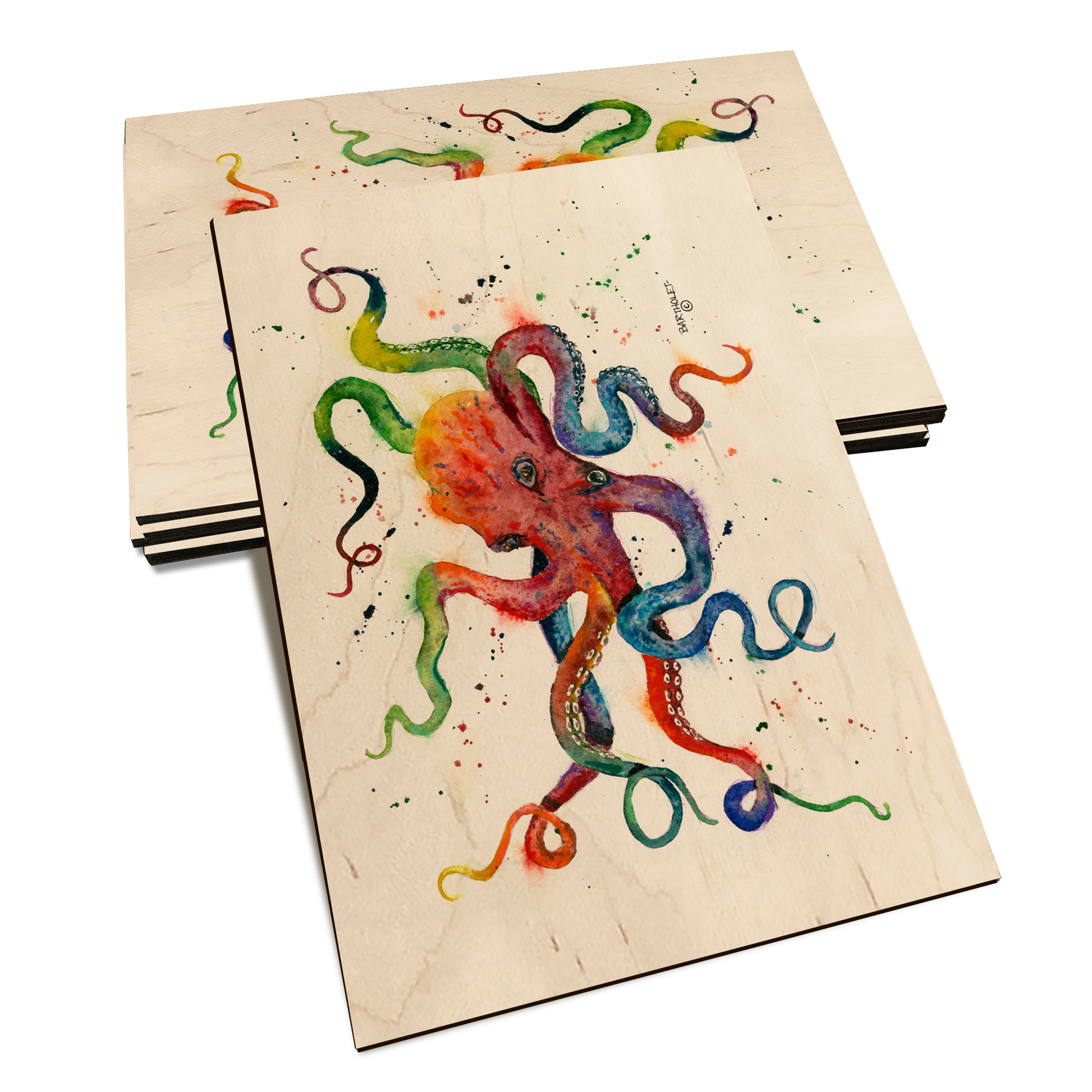 Bartholet's Rainbow Octopus  - Classic Edge Classic Edge Postcard (5pk // $2.80ea)