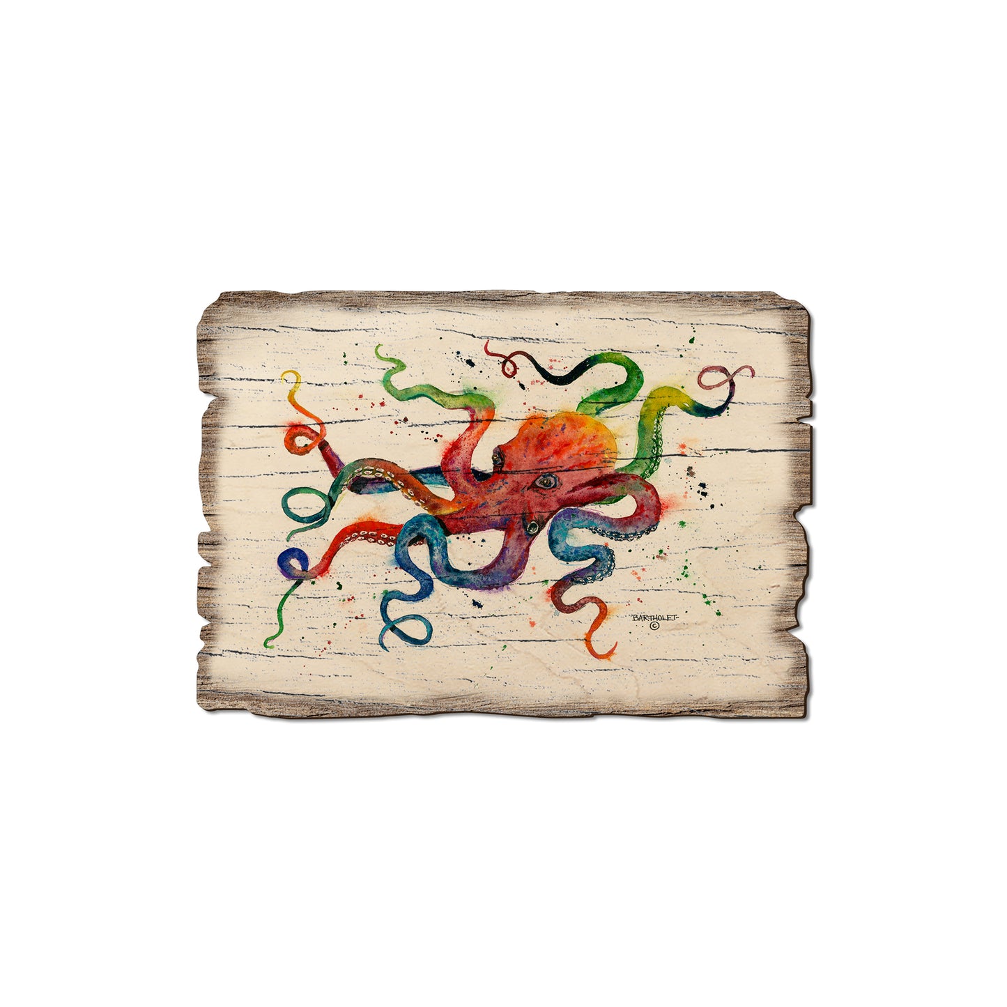 Bartholet's Rainbow Octopus - Rustic Edge Postcards & Magnets Rustic Edge Magnet (5pk // $2.80ea)