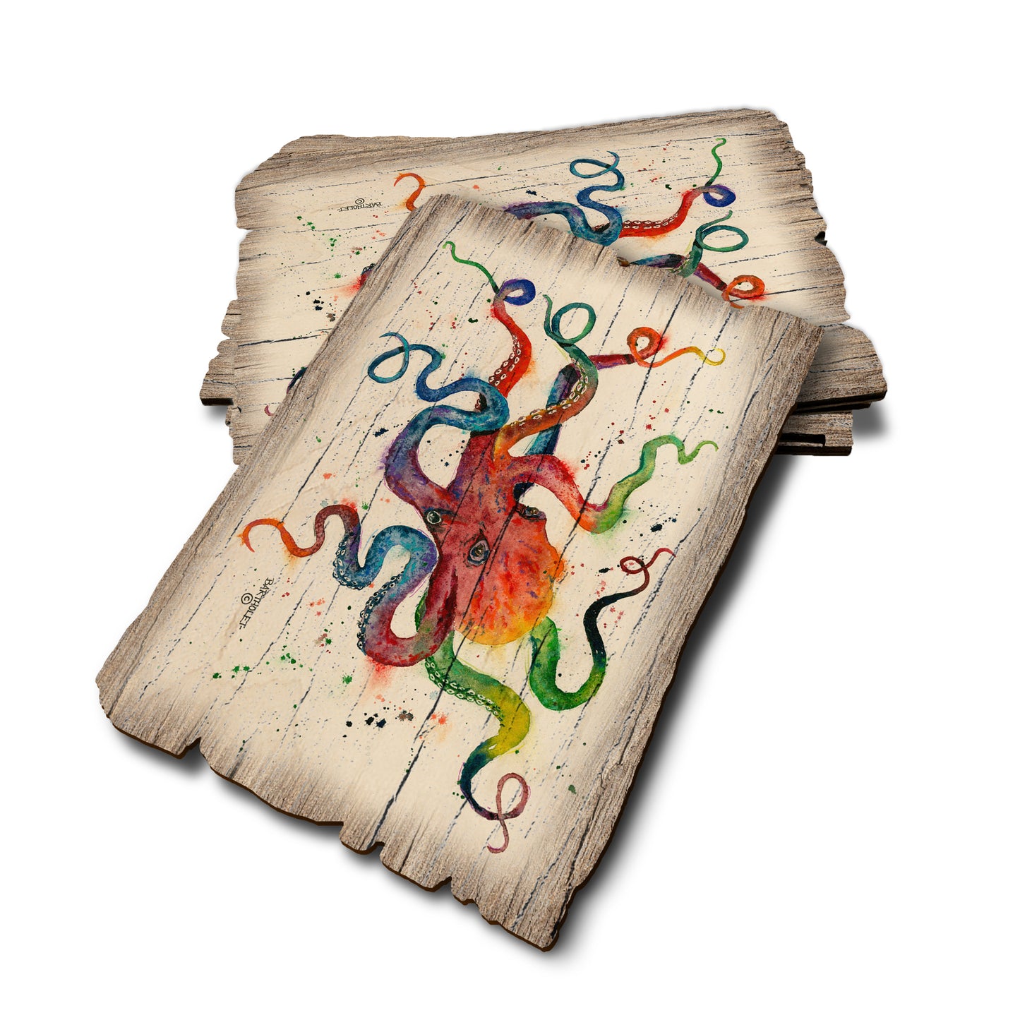 Bartholet's Rainbow Octopus - Weathered Edge Rustic Edge Postcard (5pk // $2.80ea)