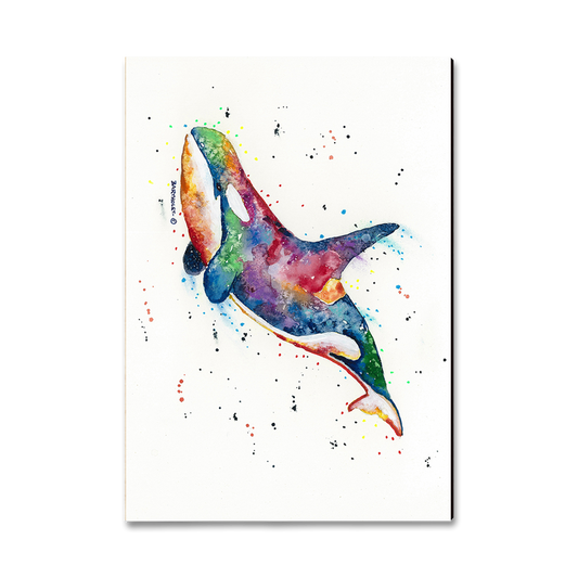 Greeting Card: Classic Edge - Bartholet's Rainbow Orca