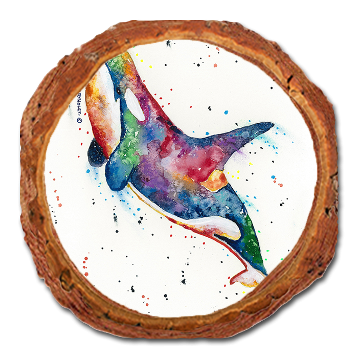 Coaster: Live Edge - Bartholet's Rainbow Orca (Pack of 5)