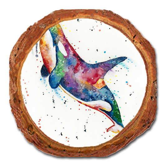 Coaster: Live Edge - Bartholet's Rainbow Orca (Pack of 5)