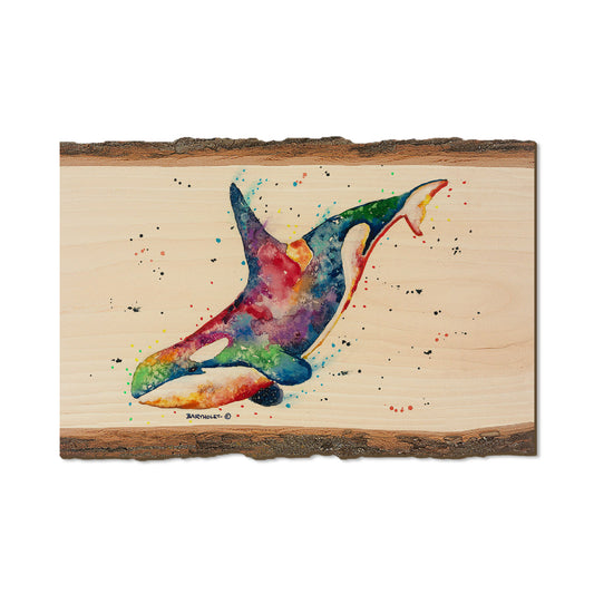 Bartholet's Rainbow Orca  - Live Edge Live Edge Postcard (5pk // $2.80ea)