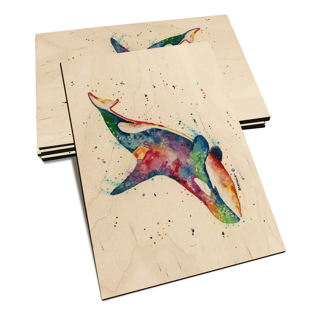 Bartholet's Rainbow Orca  - Classic Edge Classic Edge Postcard (5pk // $2.80ea)