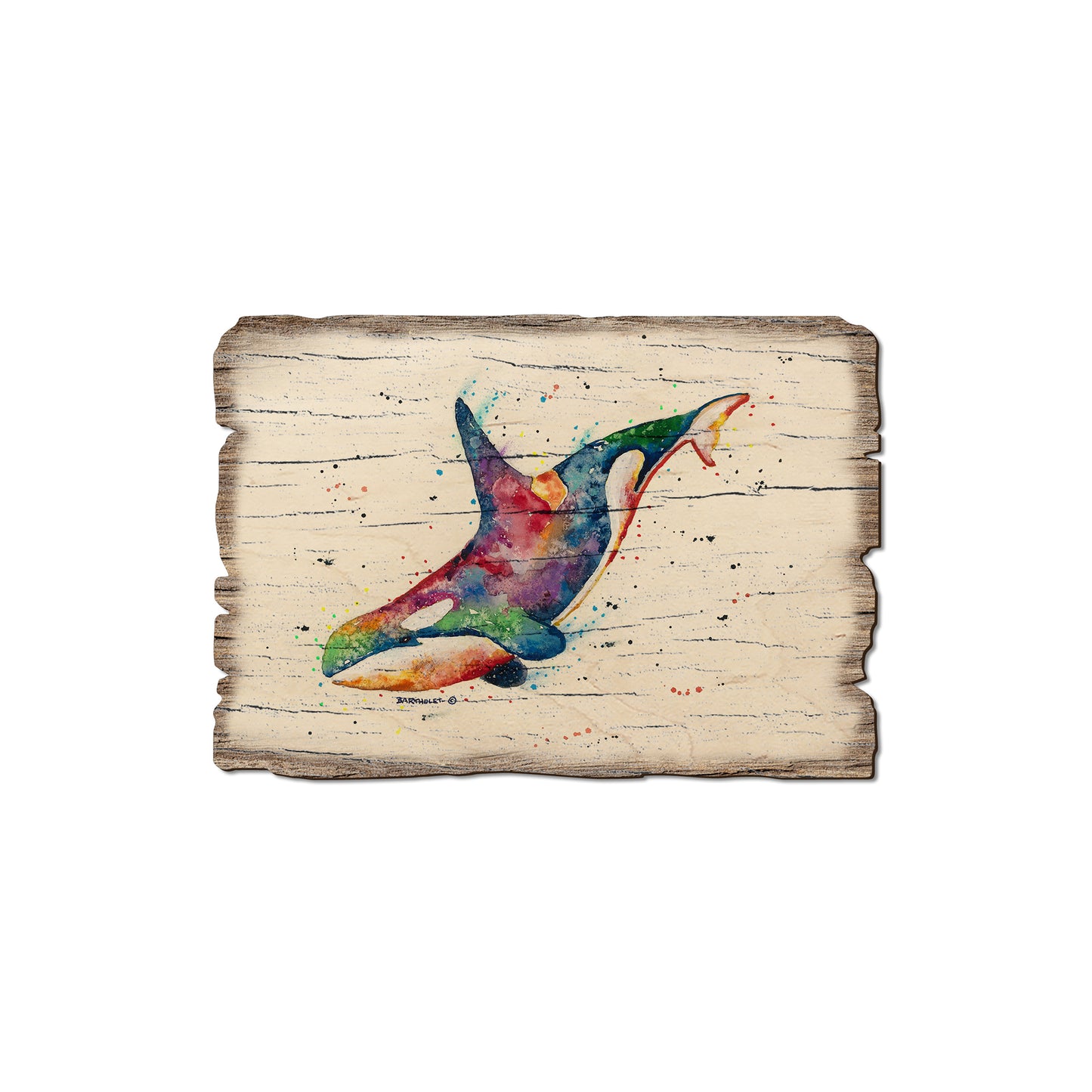 Bartholet's Rainbow Orca - Rustic Edge Postcards & Magnets Rustic Edge Magnet (5pk // $2.80ea)