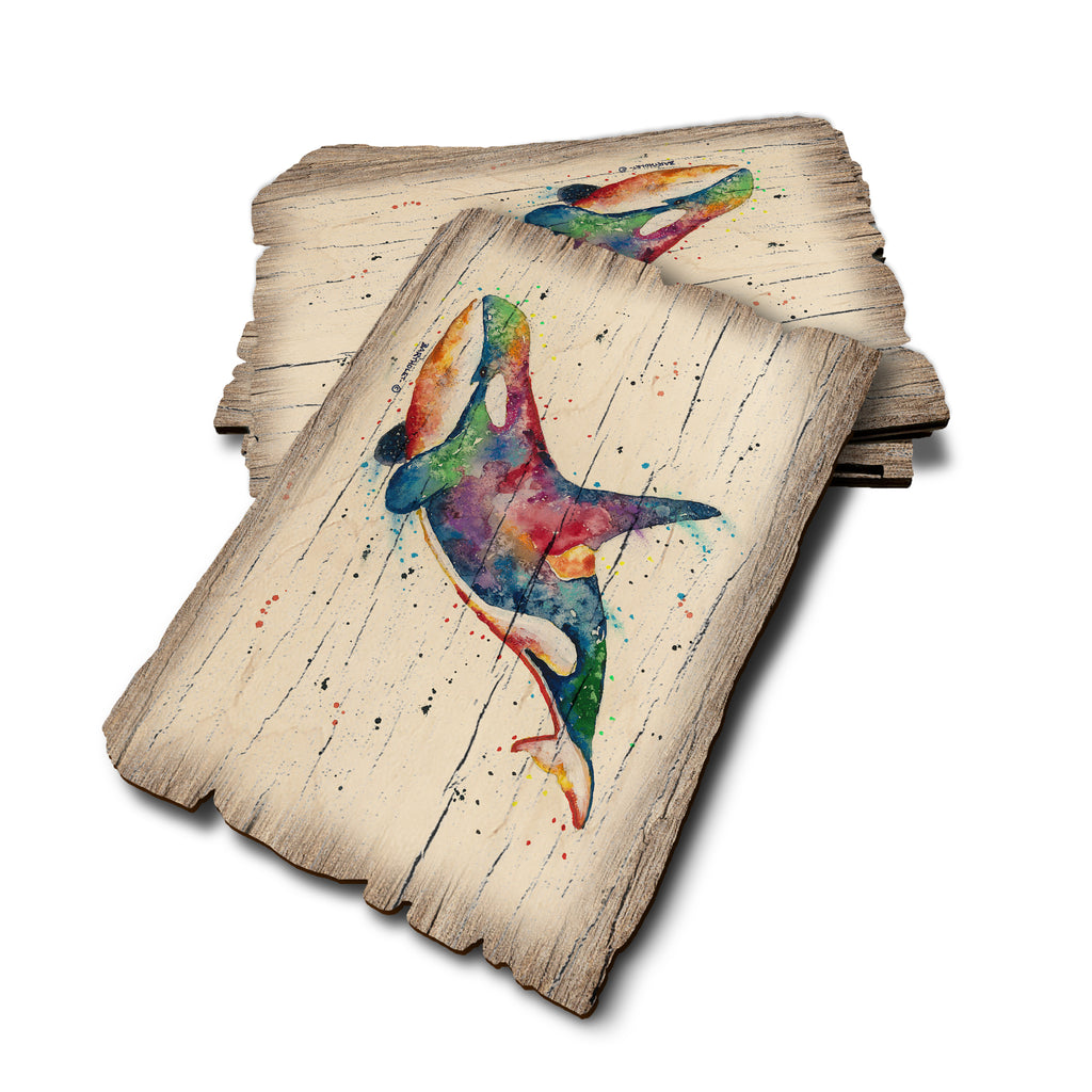 Bartholet's Rainbow Orca - Weathered Edge Rustic Edge Postcard (5pk // $2.80ea)