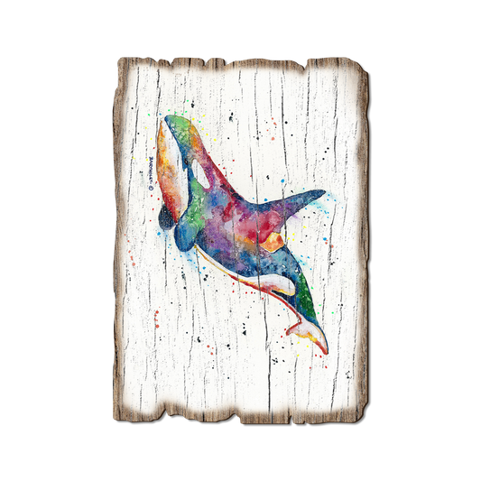 Greeting Card: Weathered Edge - Bartholet's Rainbow Orca (Pack of 5)