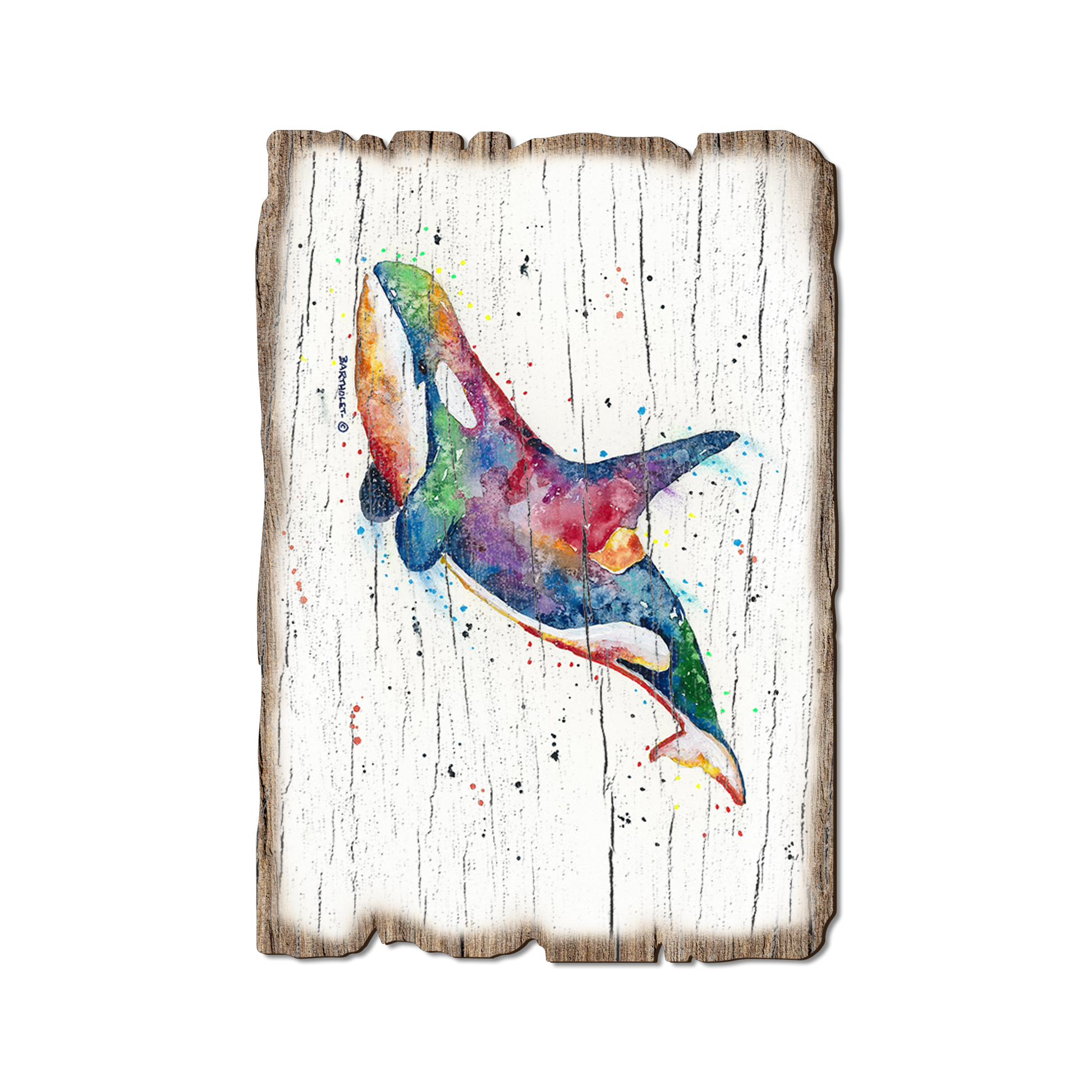 Ornament: Weathered Edge - Bartholet's Rainbow Orca (Pack of 5)