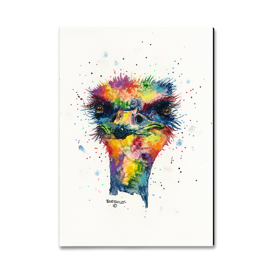Magnet: Classic Edge - Bartholet's Rainbow Ostrich