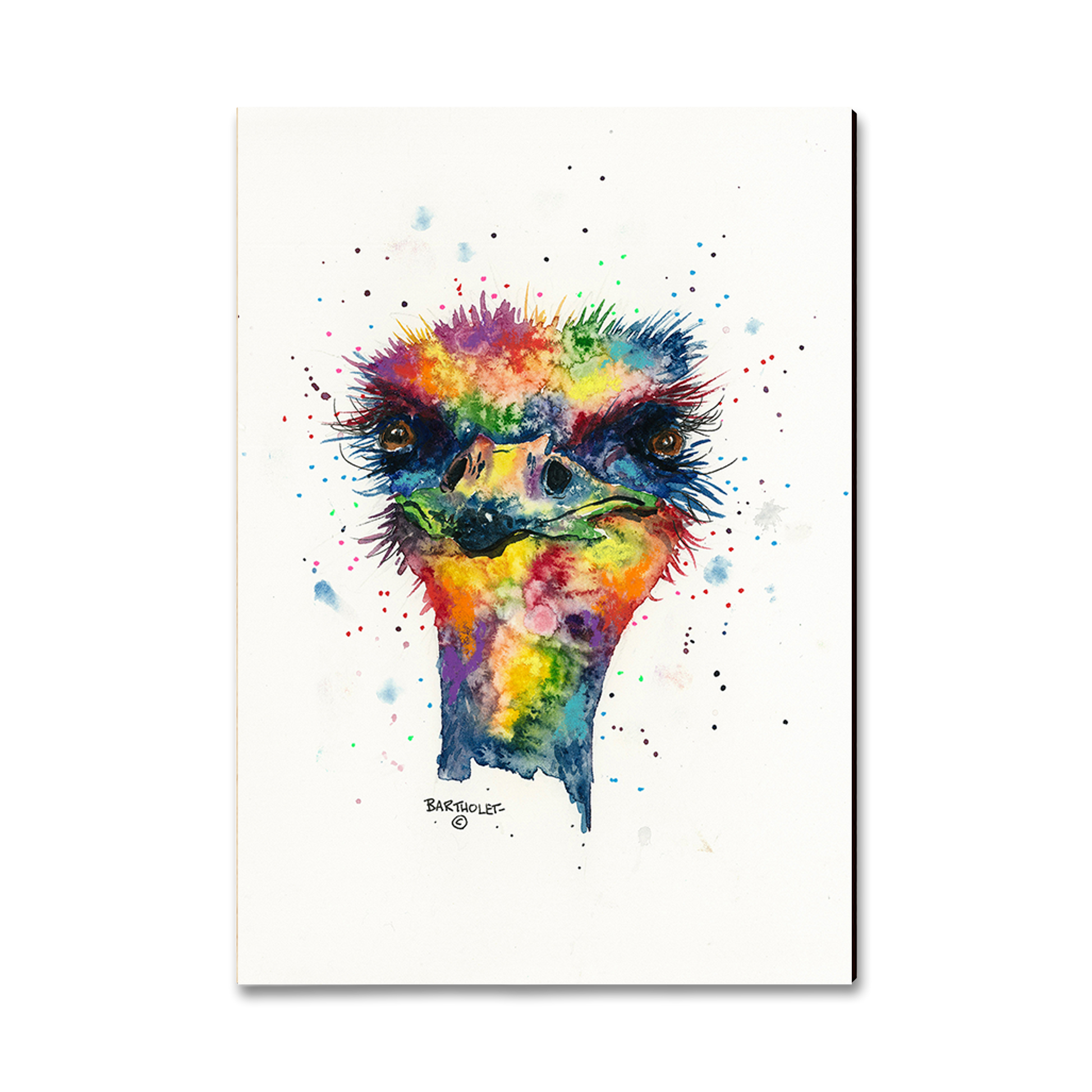 Ornament: Classic Edge - Bartholet's Rainbow Ostrich