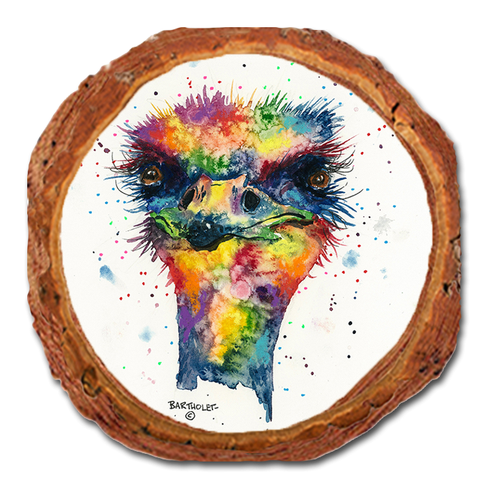 Coaster: Live Edge - Bartholet's Rainbow Ostrich (Pack of 5)
