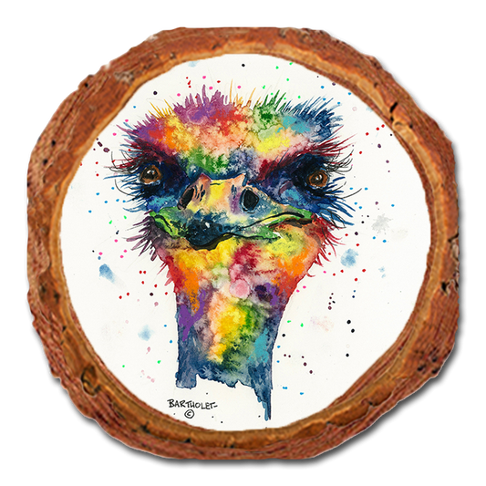 Coaster: Live Edge - Bartholet's Rainbow Ostrich (Pack of 5)