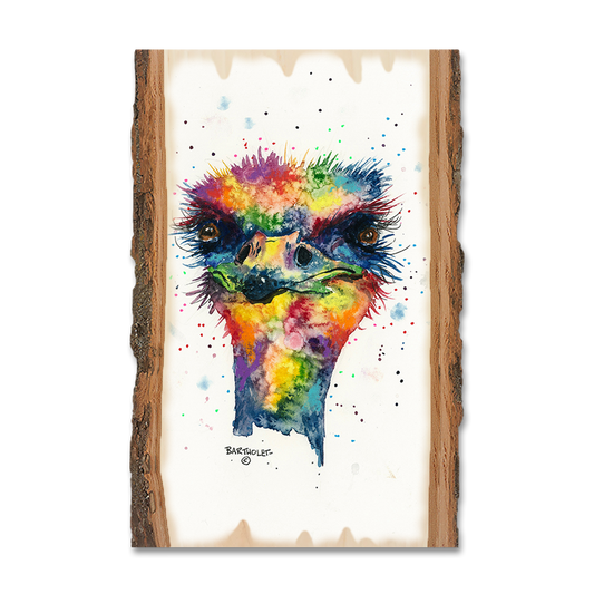 Greeting Card: Live Edge - Bartholet's Rainbow Ostrich